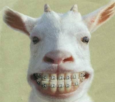 goatwithbraces